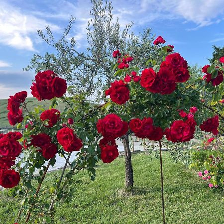 Masso Alle Rose Di Santarsiero Serena Монтайоне Экстерьер фото